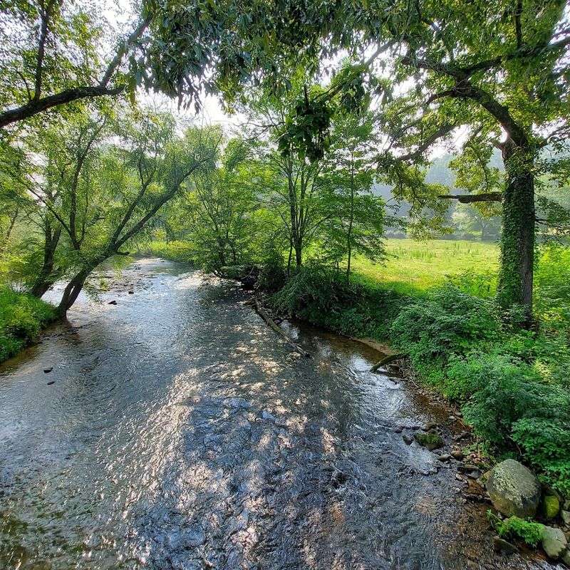 Ellijay - Georgia