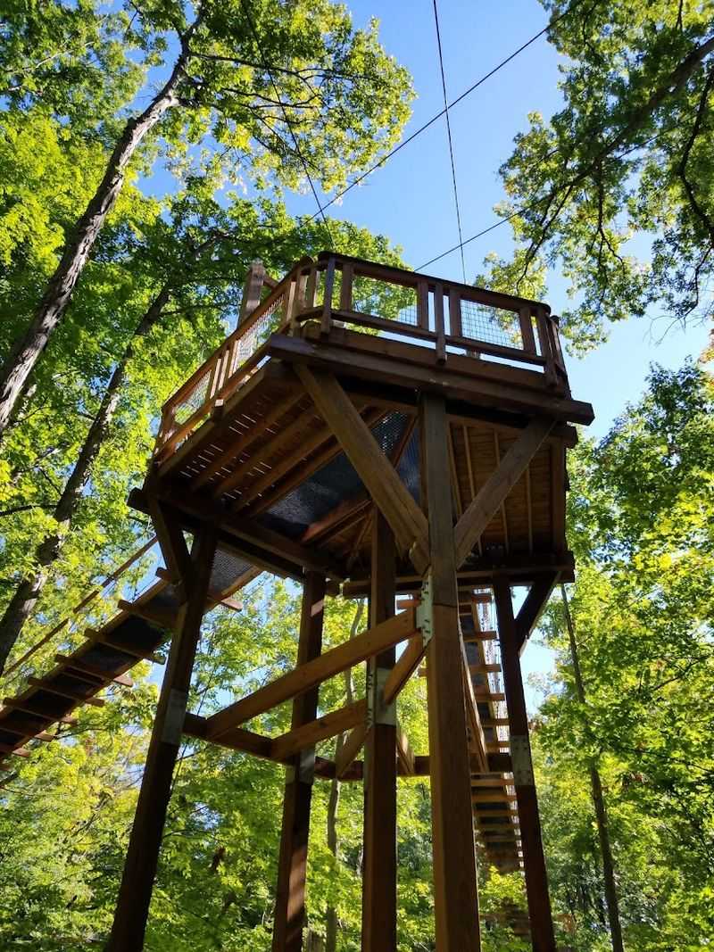 Emergent Tower: Climbing Above the Forest Ceiling