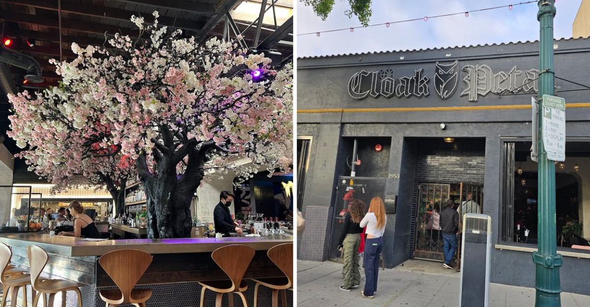Enjoy A Meal Beneath A Beautiful Cherry Blossom Tree At This Unforgettable California Restaurant