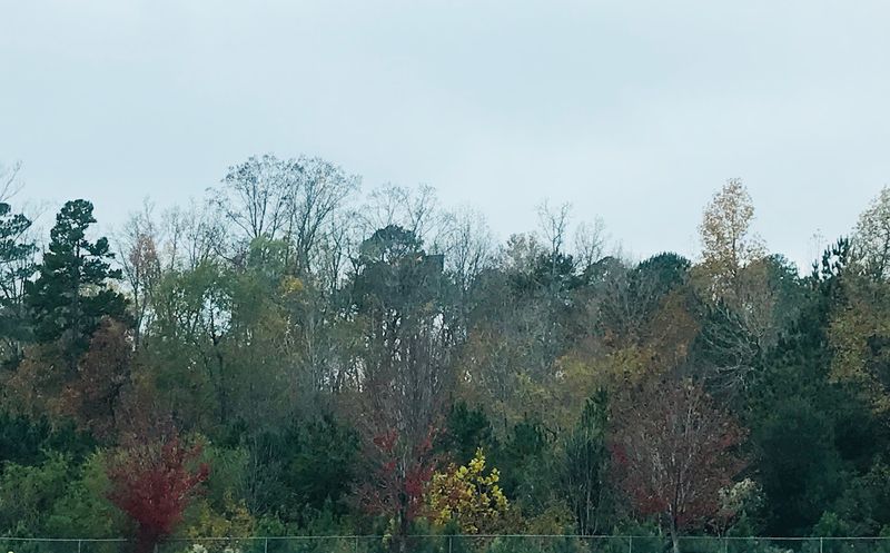 Enoree River