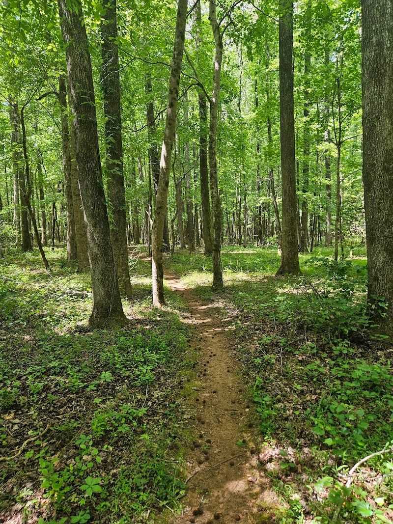 Equestrian Trails That Horse Lovers Rave About