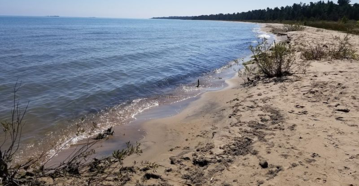 Escape the crowds at this incredible hidden state park that remains one of Michigans best kept secrets