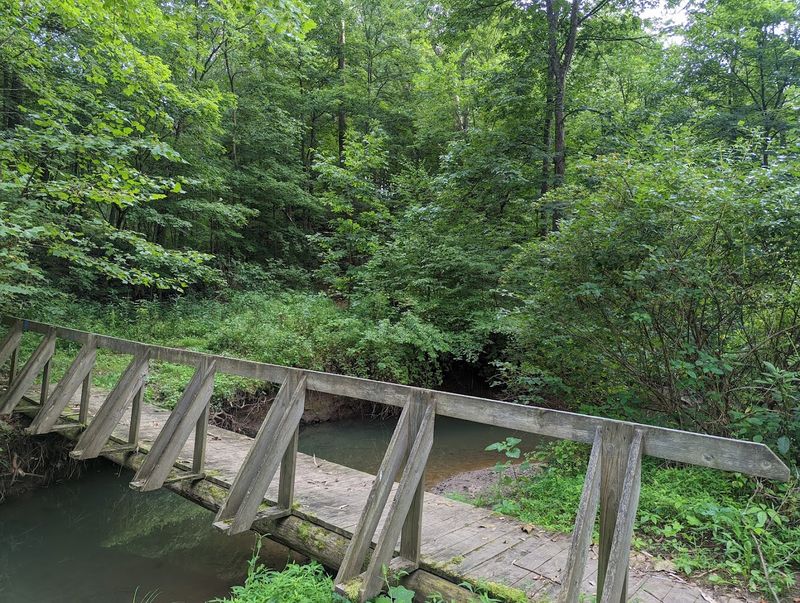 Escaping the Digital World in a Truly Remote Setting