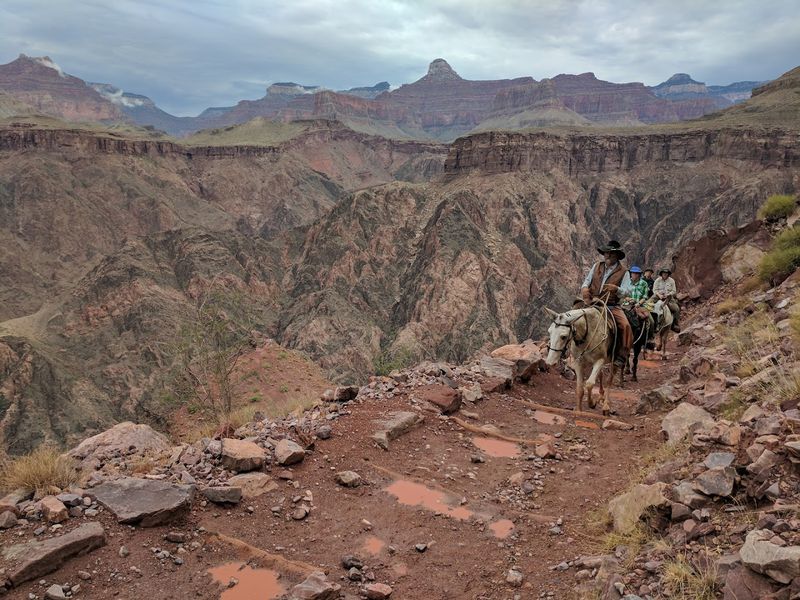 Essential Gear and Packing Tips for a Safe Hike Essential Gear and Packing Tips for a Safe Hike