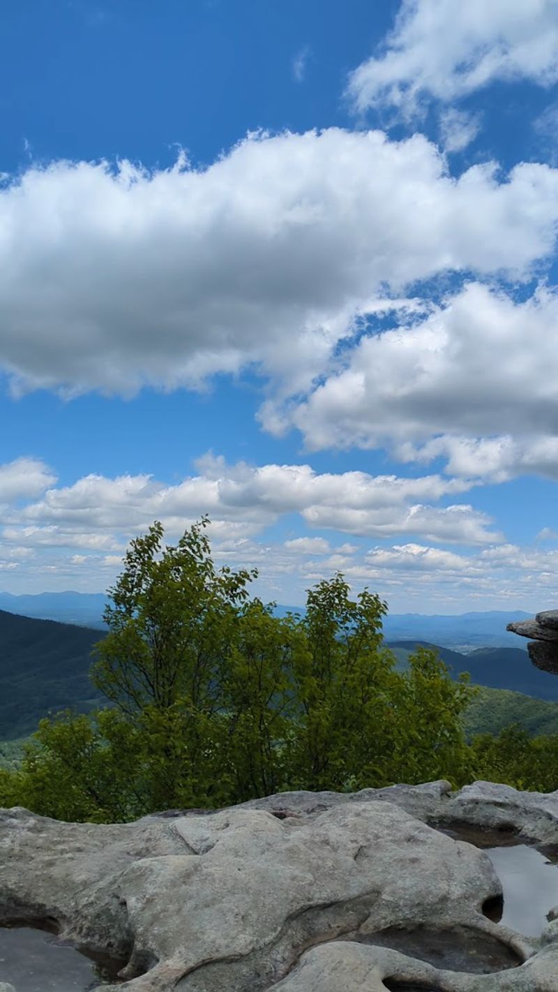 Essential Gear to Pack Before You Hit the Trail