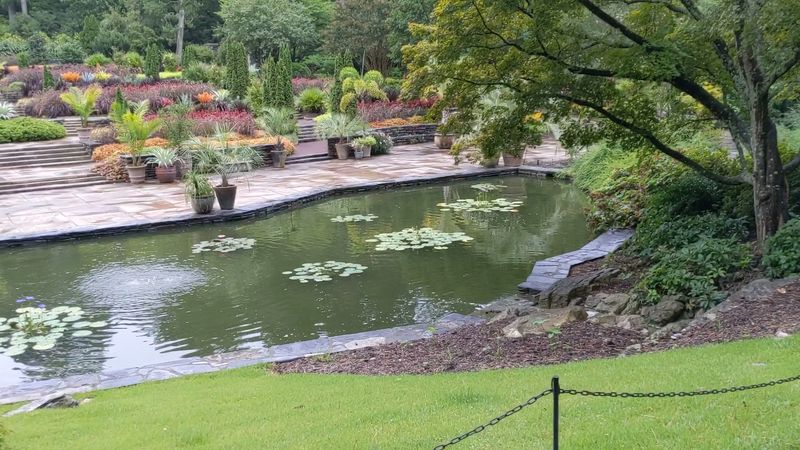 Events and Programs: More Than Just a Walk in the Garden
