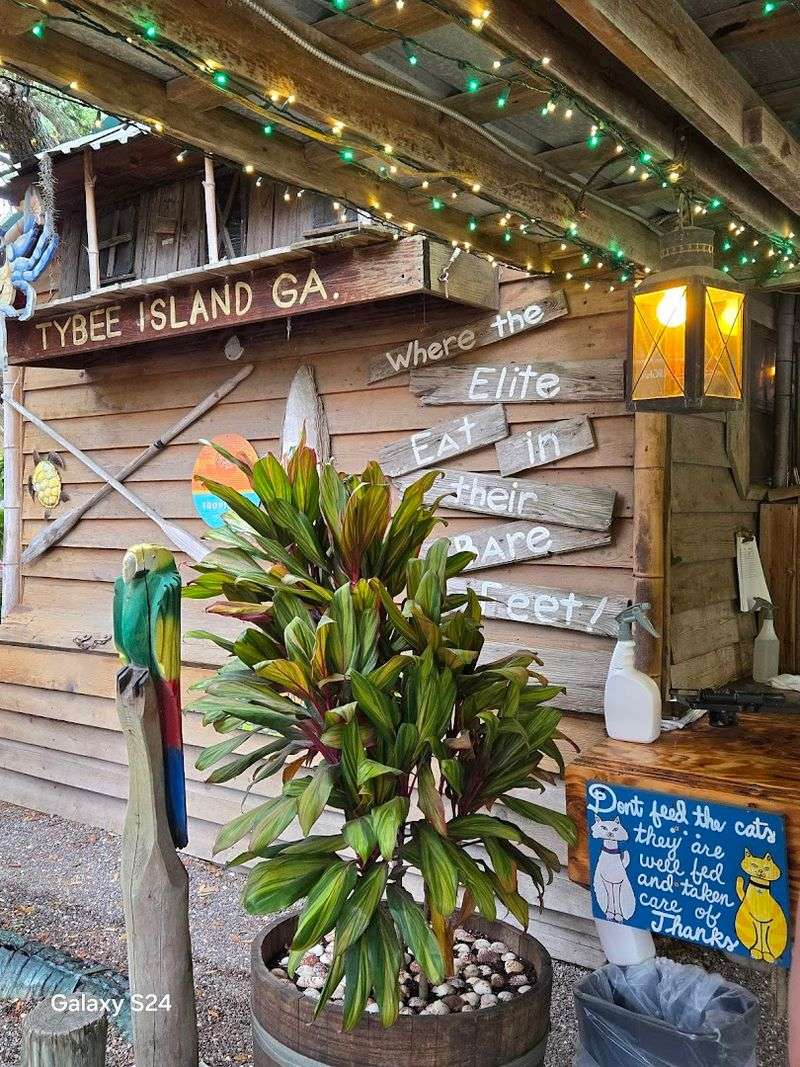 Exotic Birds and Wildlife That Make It a Full Experience