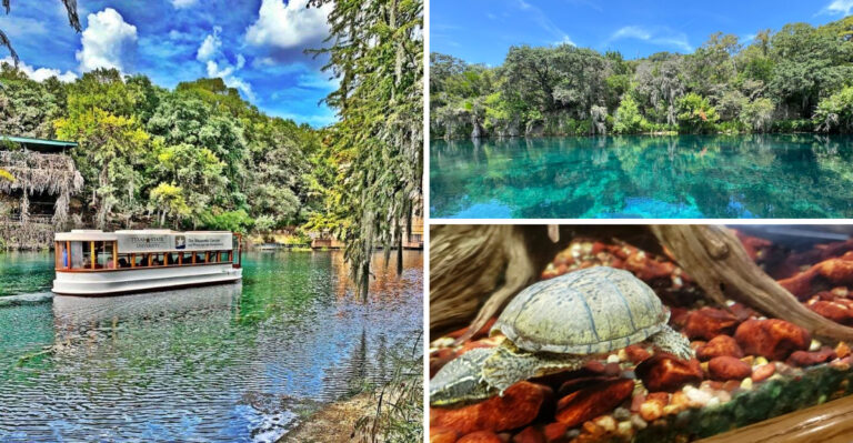 Experience An Amazing Glass-Bottom Boat Tour In Texas Before The Secret Gets Out