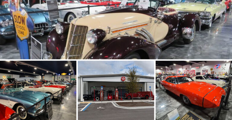 Explore More Than 100 Rare Vintage Cars At This Overlooked Museum In Florida