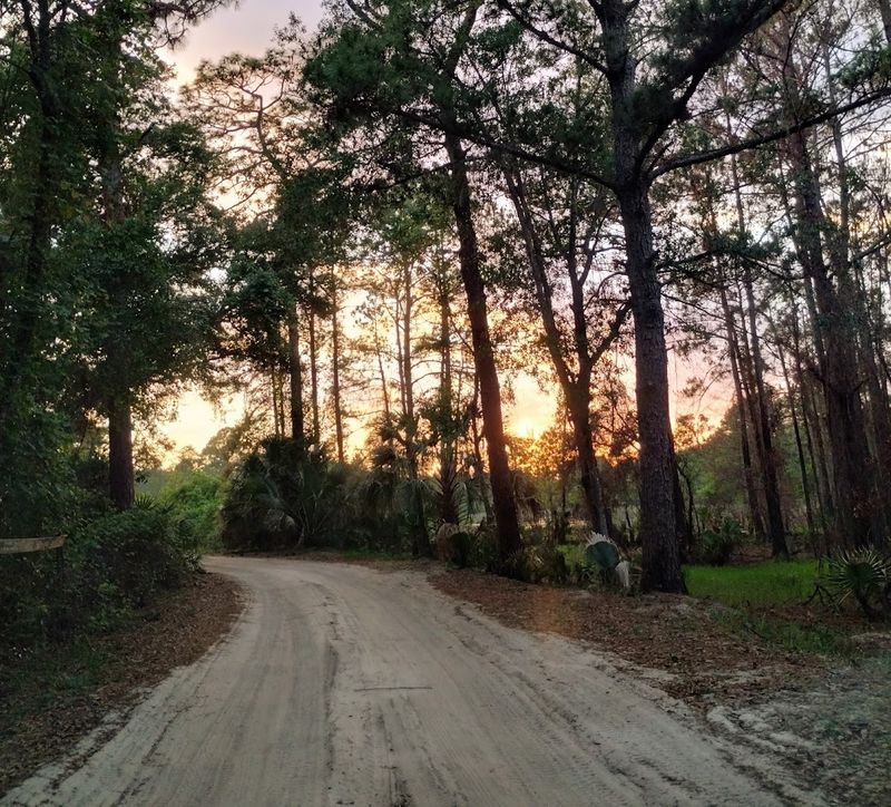 Explore Nearby Nature Trails and Green Spaces