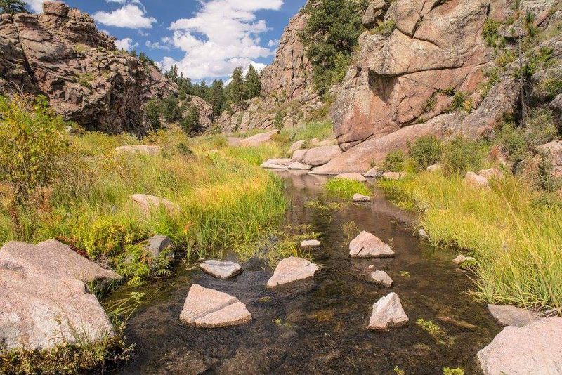 Exploring Beyond the Cove Along the Creek