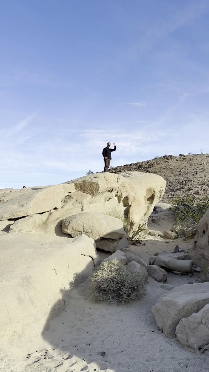 Exploring Multiple Routes: Do Not Go Back the Way You Came Exploring Multiple Routes: Do Not Go Back the Way You Came