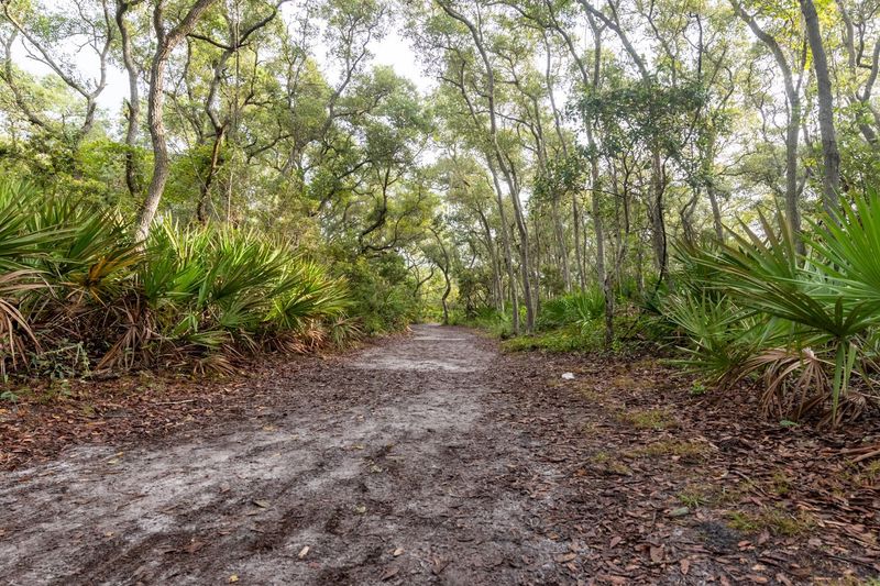 Exploring by Bike Along the Coastal Trail
