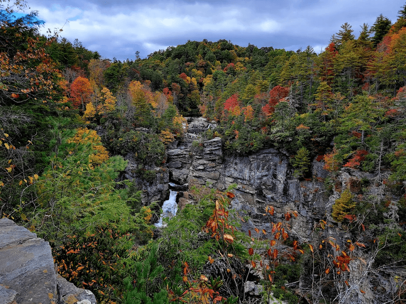 Exploring the Pisgah National Forest Beyond the Falls