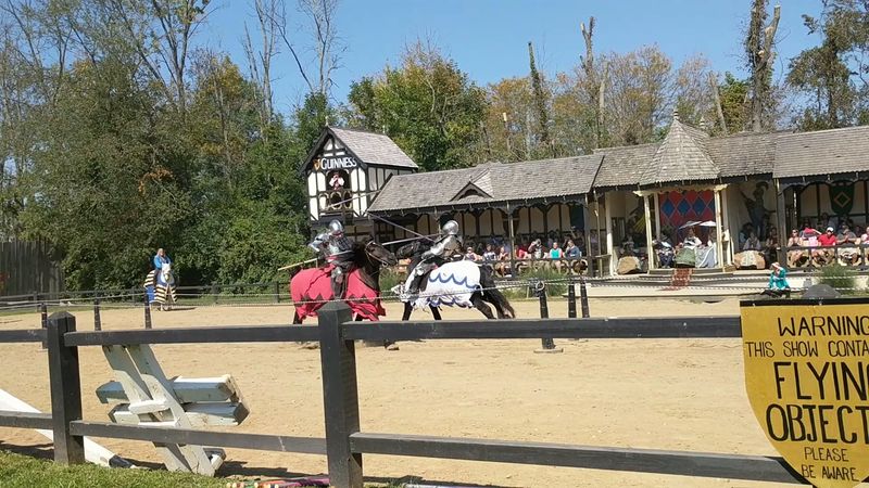Falconry and Wildlife That Takes Your Breath Away