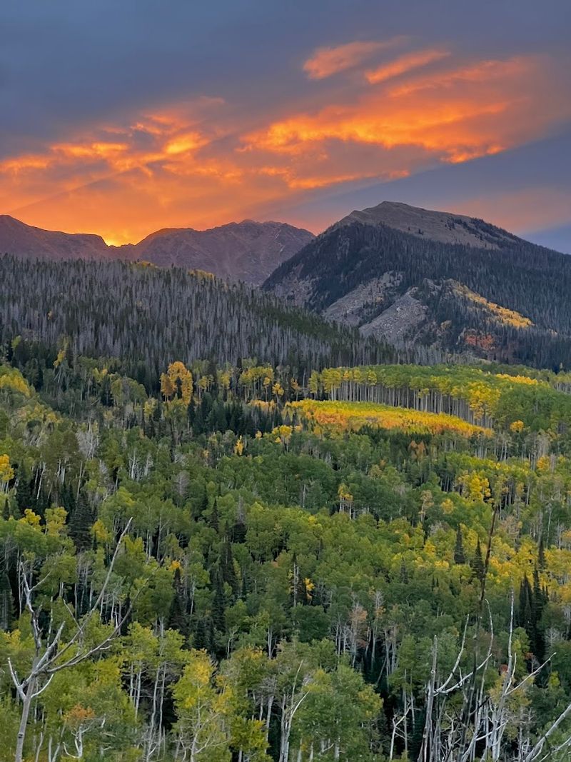 Fall Colors Here Are Absolutely Stunning
