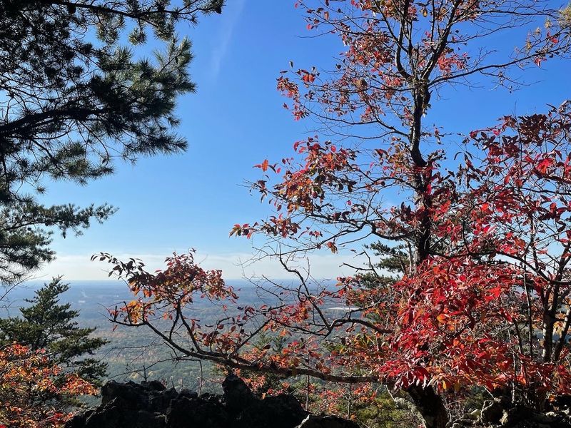 Fall Colors That Transform the Entire Park