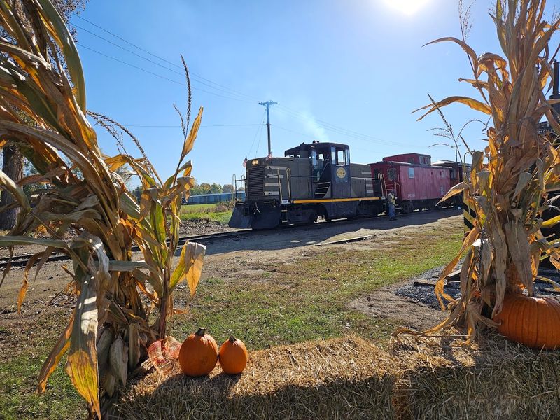 Fall Colors Tour Is a Must-Do Michigan Autumn Experience
