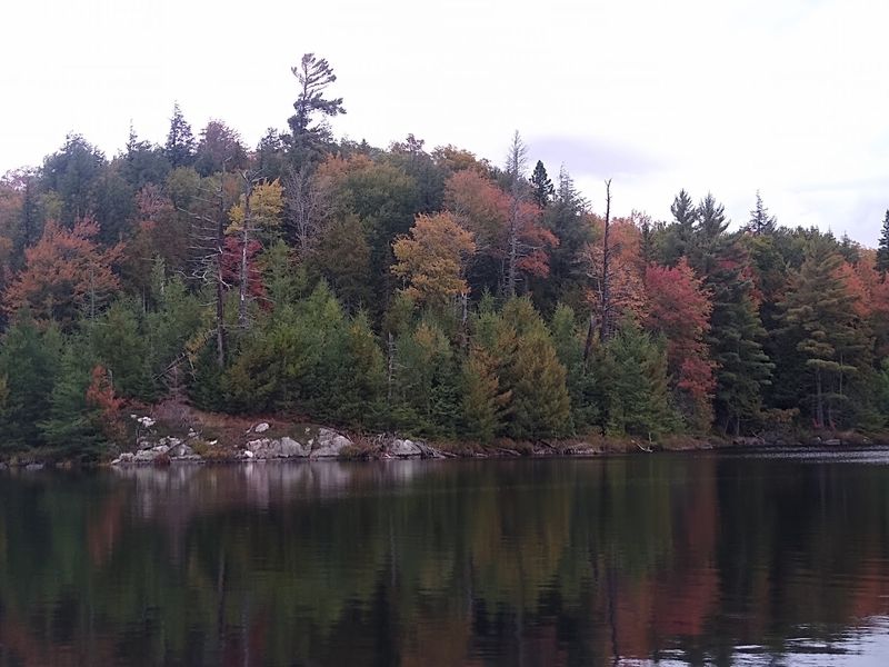 Fall Fishing at Craig Lake: A Season Like No Other