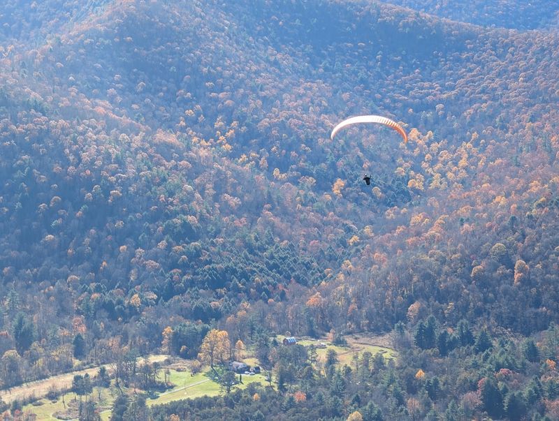 Fall Foliage Season Transforms The Valley Into Pure Magic