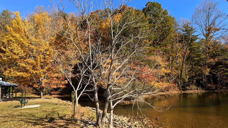 Fall Foliage Season Turns This Park Into a Painting