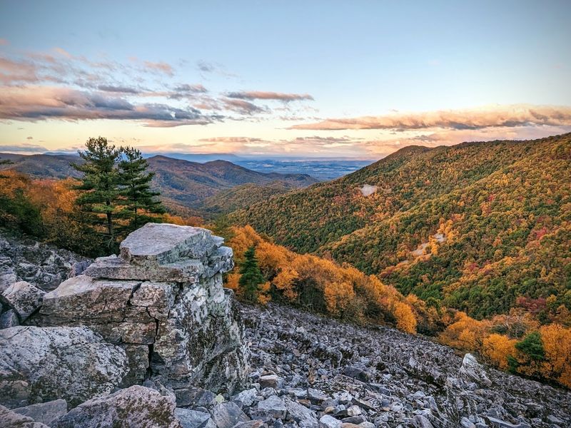 Fall Foliage Season: When the Park Transforms Into a Living Painting Fall Foliage Season: When the Park Transforms Into a Living Painting