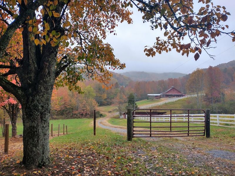 Fall Foliage That Rivals New England