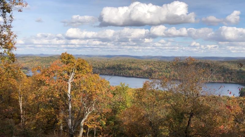 Fall Foliage That Transforms the Park Into a Living Painting