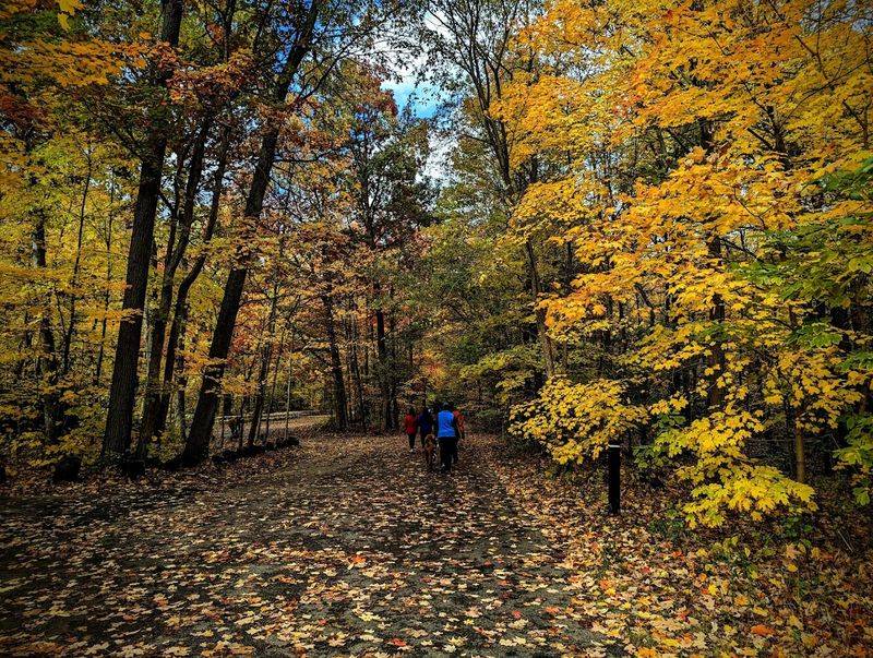Fall Foliage at the Ledges: A Season You Cannot Afford to Miss Fall Foliage at the Ledges: A Season You Cannot Afford to Miss