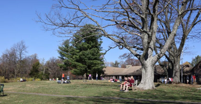 Families Are Discovering This Giant Virginia Campground Where One Weekend Never Feels Long Enough