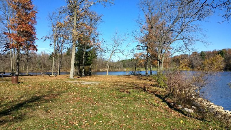 Family-Friendly Picnic Areas and Pavilions