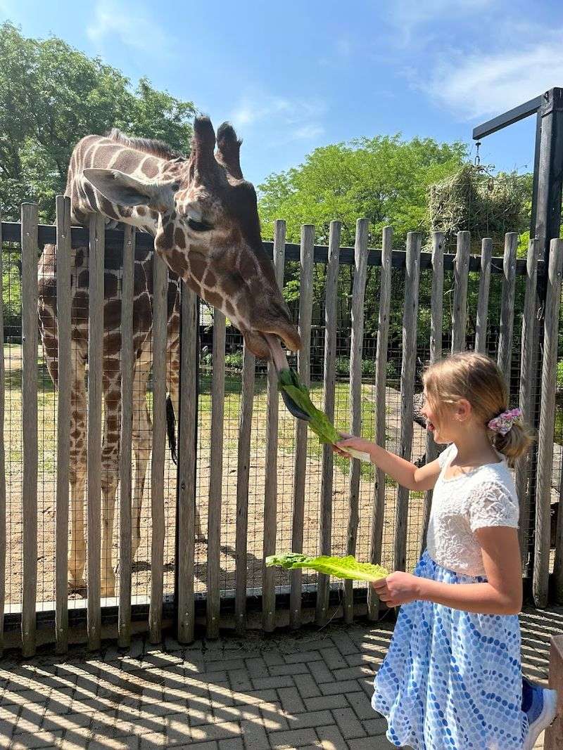 Family Memberships That Make It Worthwhile
