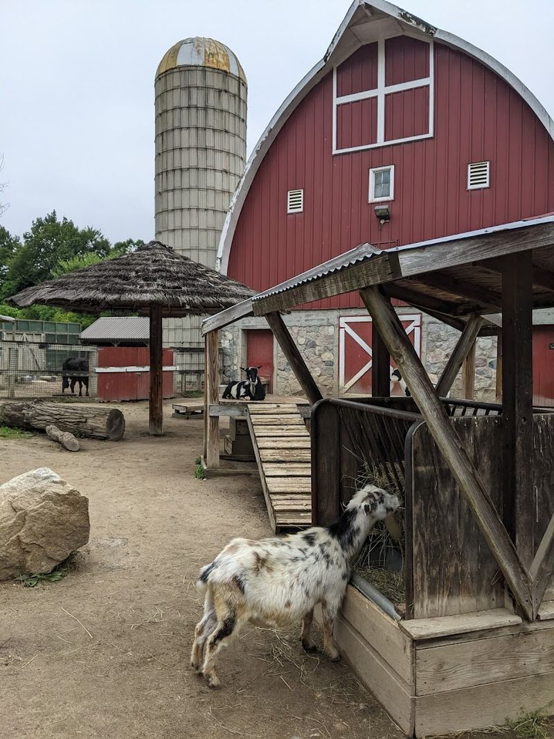 Farmyard Fun for the Littlest Visitors