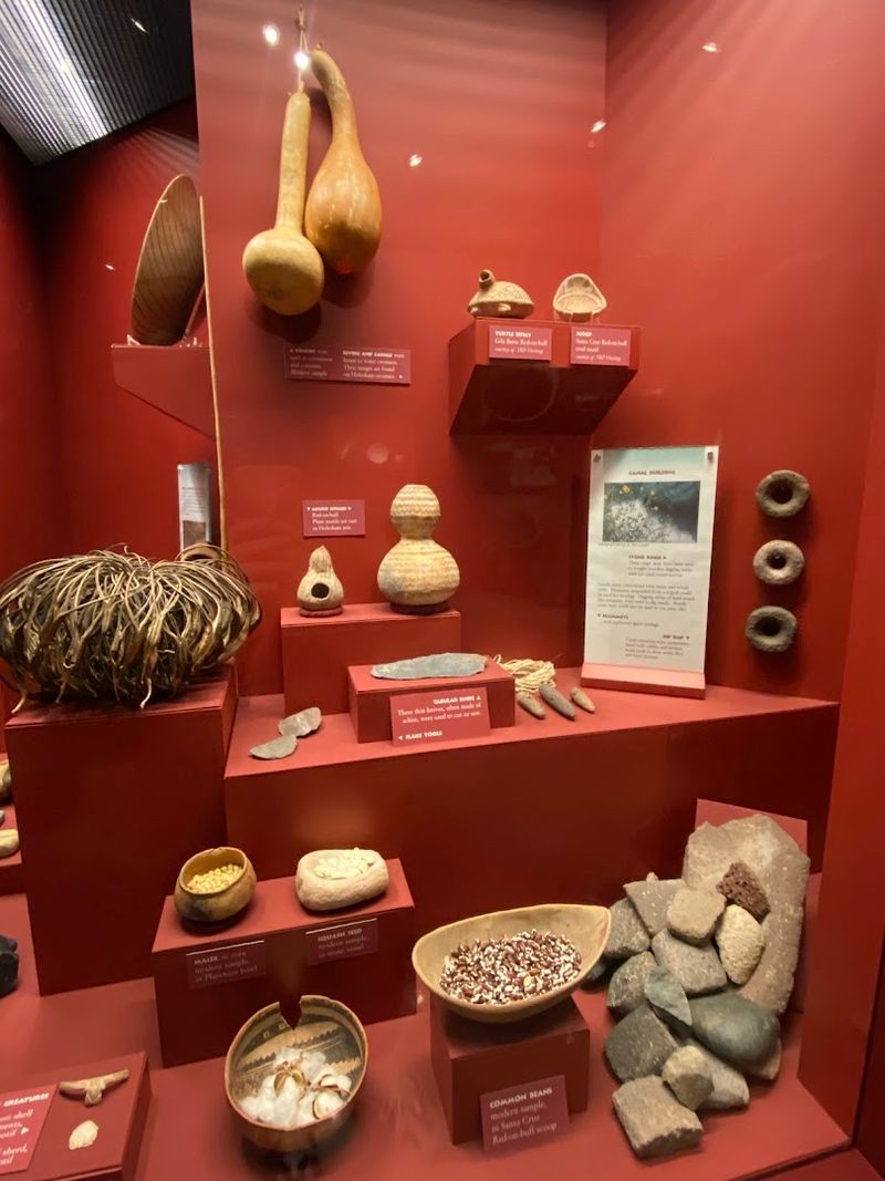 Fascinating Museum Exhibits That Tell a Layered Story