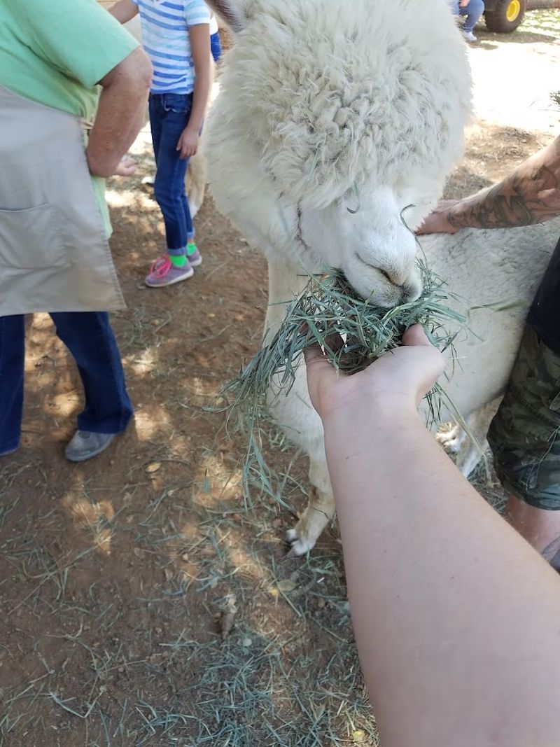 Feeding Time Is Pure Magic