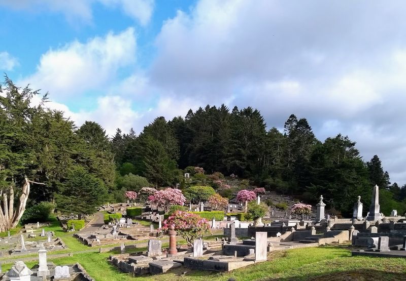 Ferndale Cemetery: A Surprisingly Peaceful Hilltop Escape Ferndale Cemetery: A Surprisingly Peaceful Hilltop Escape