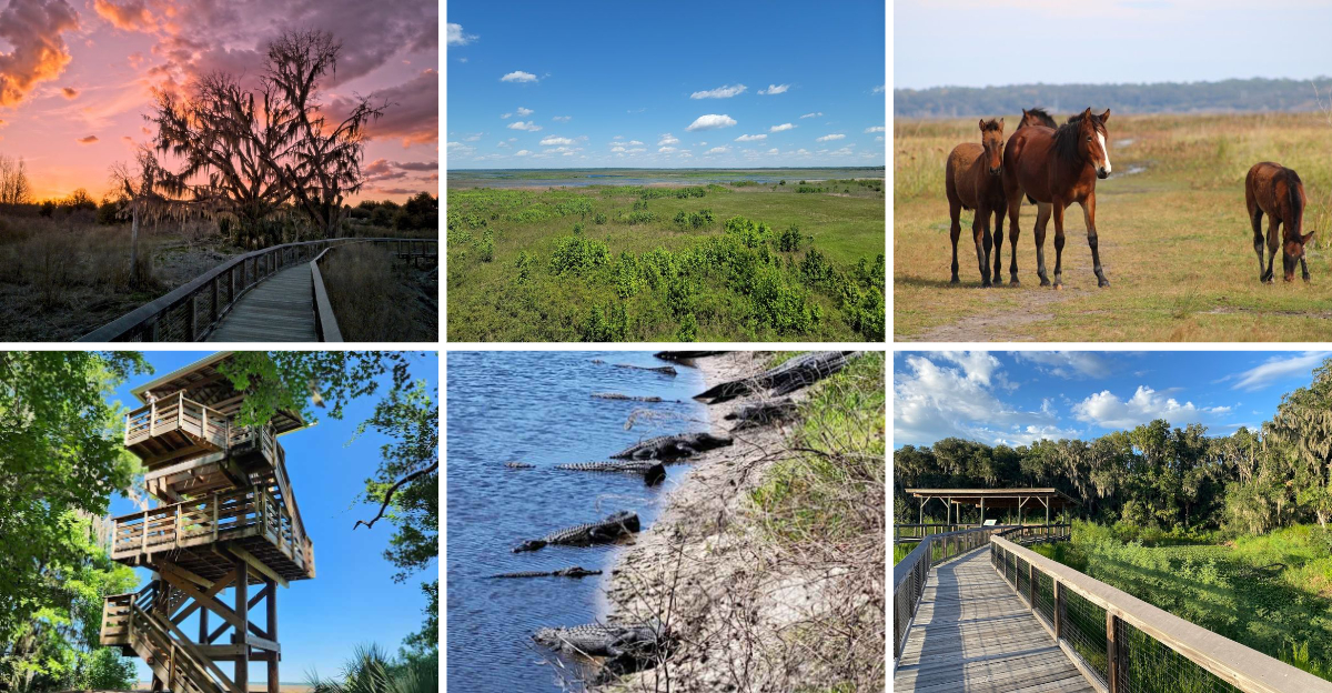 Few People Realize This 21,000-Acre Florida State Park Is One Of The State’s Hidden Gems