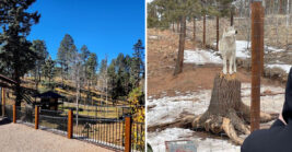 Few Travelers Know About This Incredible Colorado Ranch Where You Can Meet Wolves Up Close