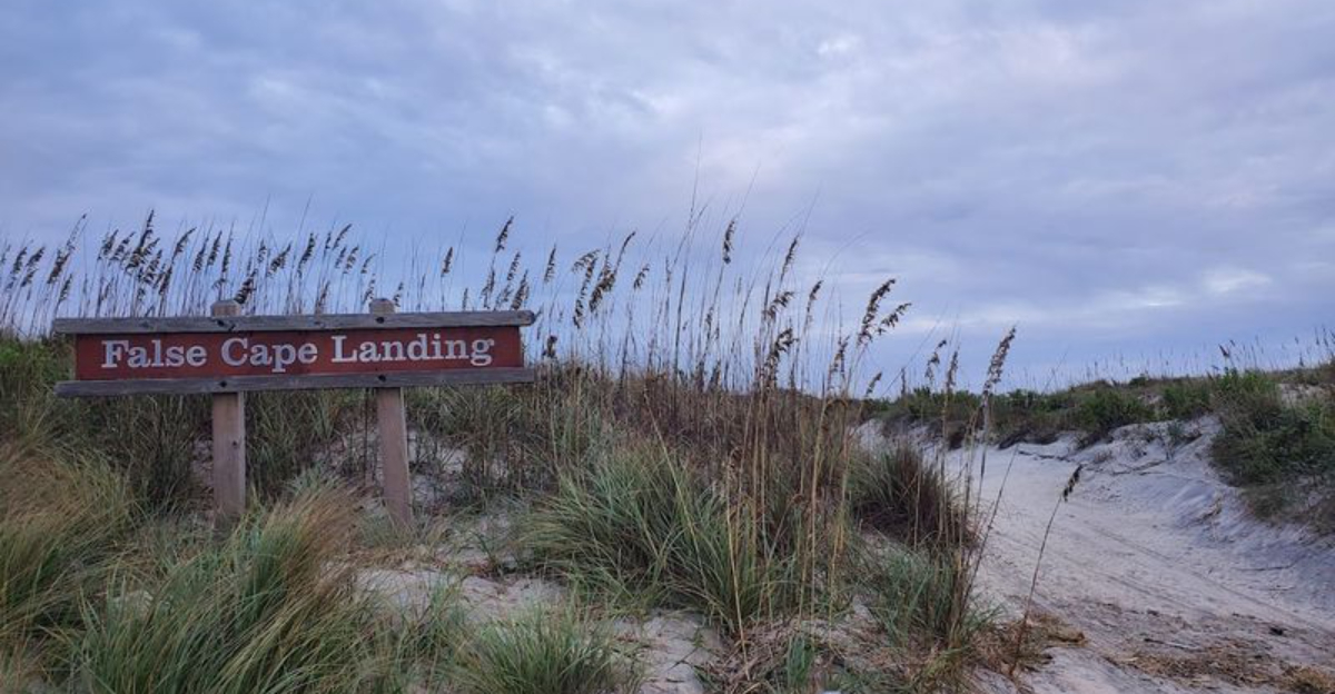 Few Virginia Residents Realize This Remote Coastal Paradise Is Hiding In Their Own Backyard