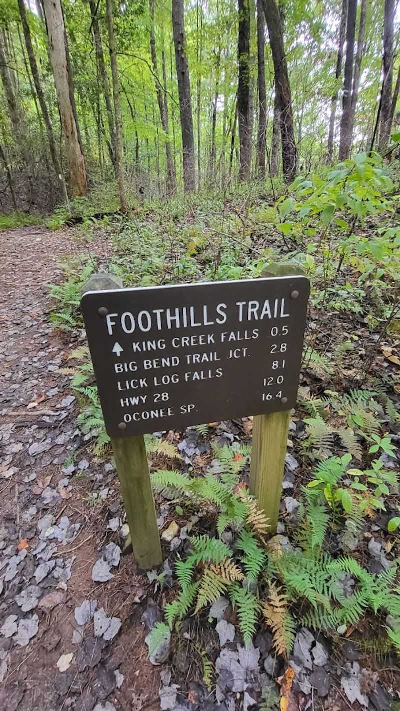 Finding the Trailhead at Burrells Ford Campground Parking Area