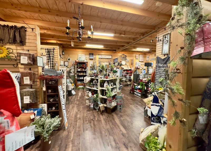 Firewood, Board Games, and Camping Essentials Under One Roof