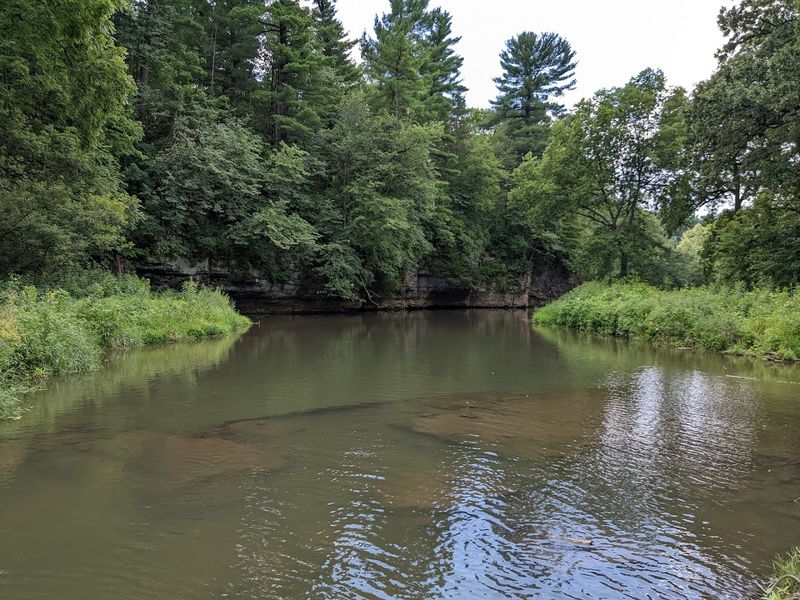 Fishing Along Pine Creek for a Relaxing Afternoon