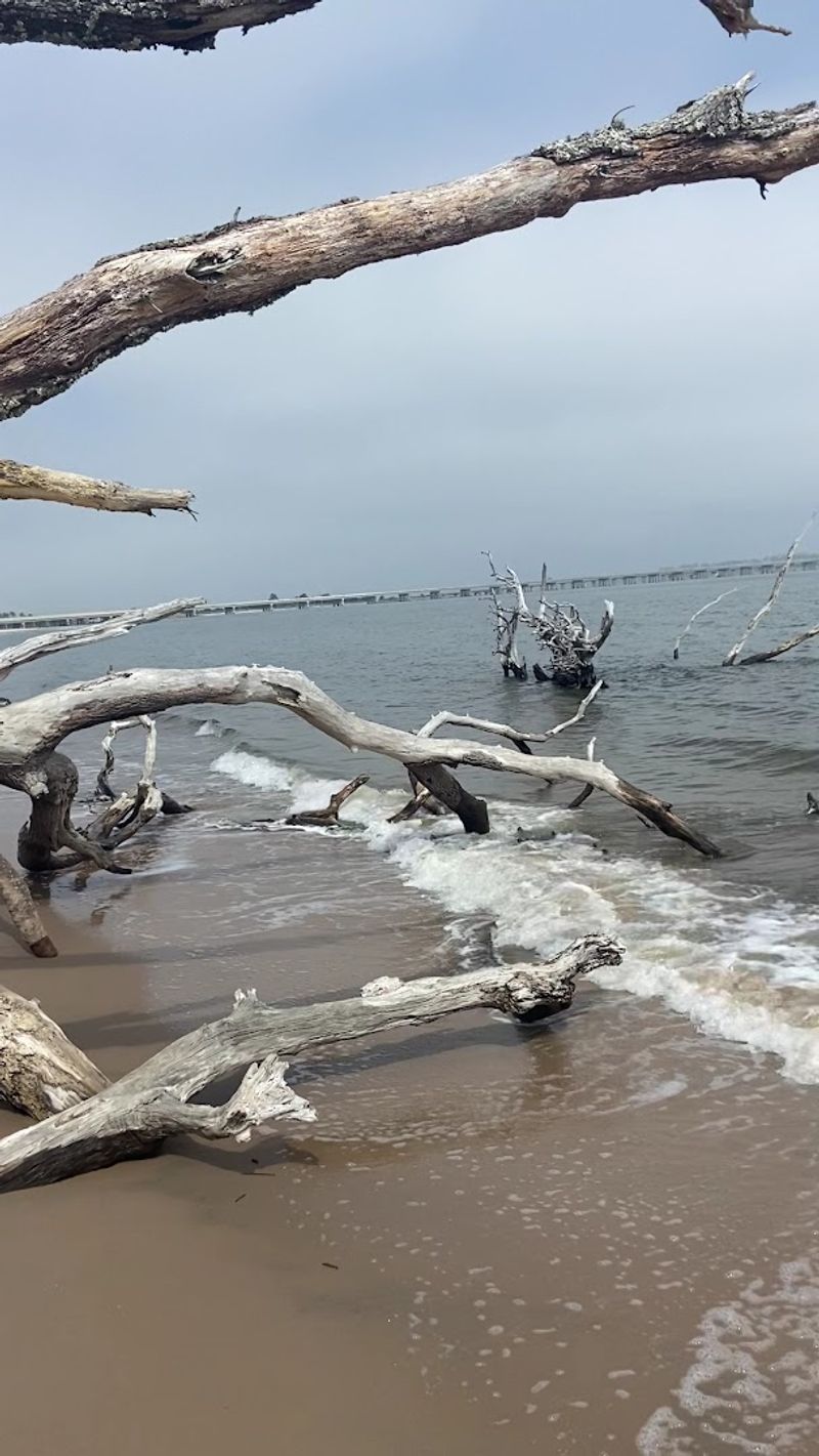 Fishing Along a Truly Unique Shoreline