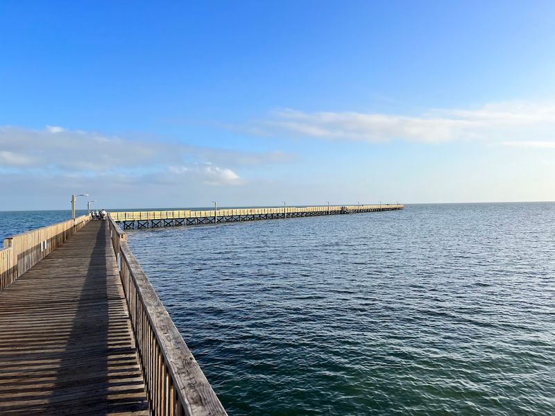 Fishing From the Pier Without a License Required Fishing From the Pier Without a License Required