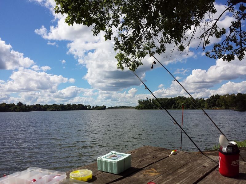 Fishing Opportunities That Will Reel You In