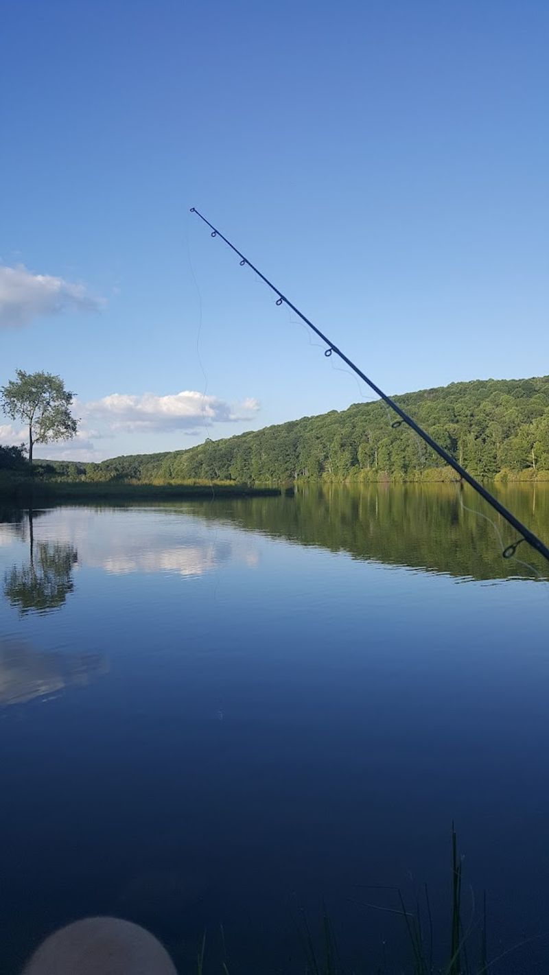 Fishing Opportunities at the Lake