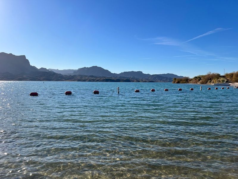 Fishing Spots That Keep Anglers Coming Back