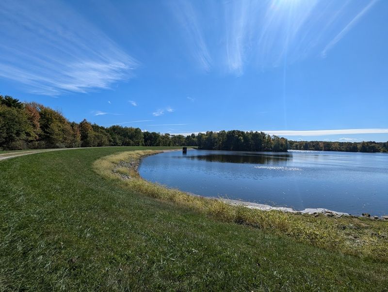 Fishing Spots That Reward Patience and Early Mornings