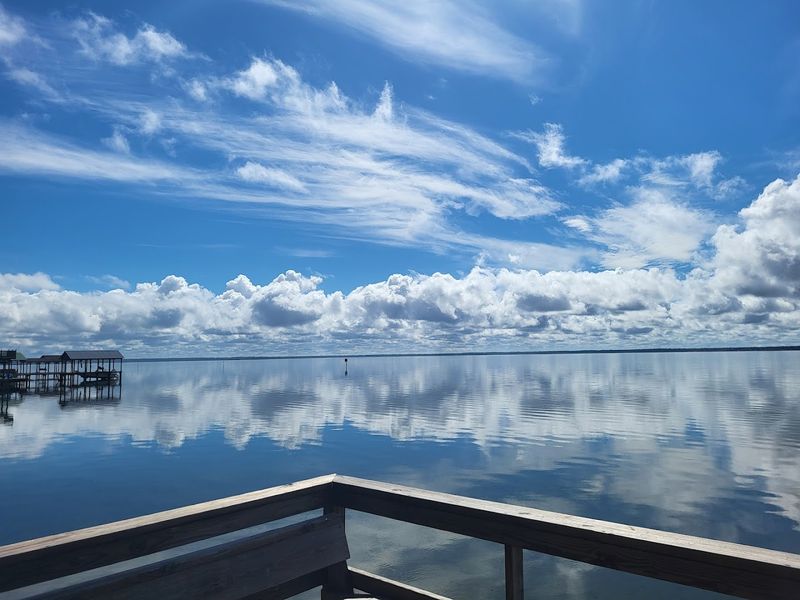 Fishing at Lake Waccamaw: An Angler's Dream Fishing at Lake Waccamaw: An Angler's Dream