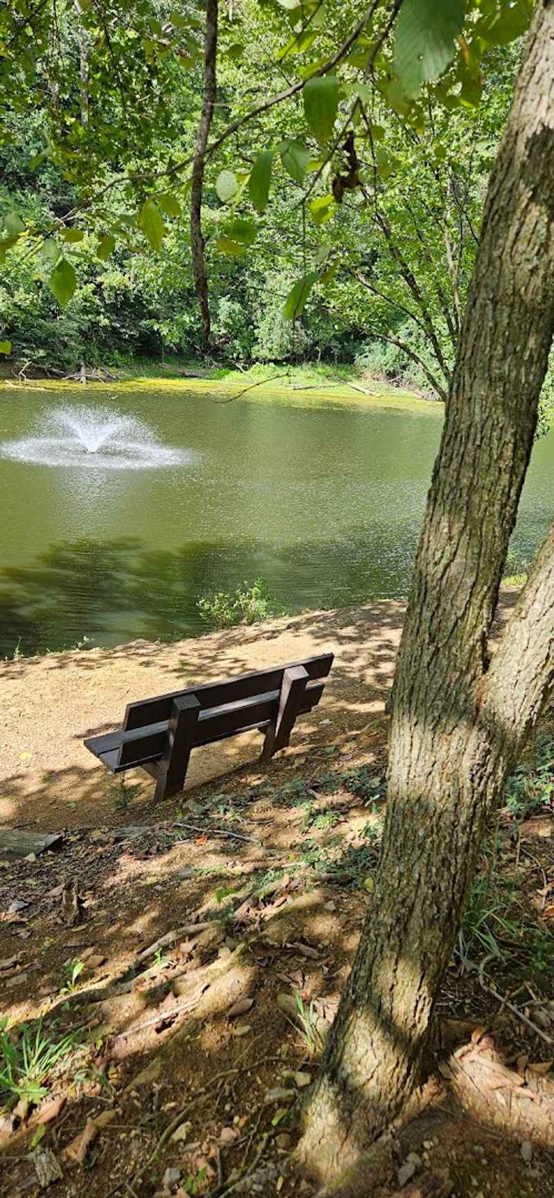 Fishing at the Pond — Relaxing Even on Slow Days